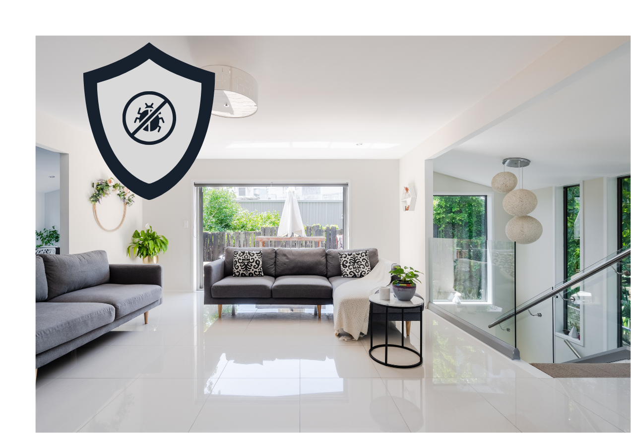 El texto del párrafo (6)