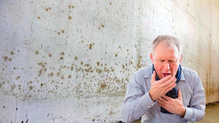 Sin-titulo-752-x-503-px-980-x-650-px-4